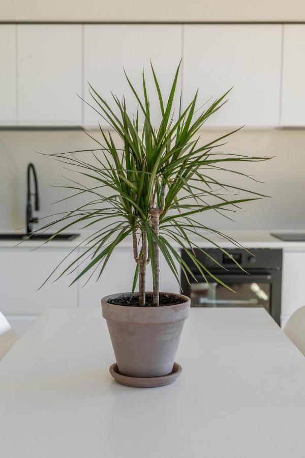 La Dolce Vita - Sunny Penthouse Trastevere Station 100Sqm โรม ภายนอก รูปภาพ
